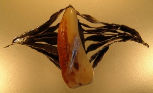 10III2005a 034 (1)